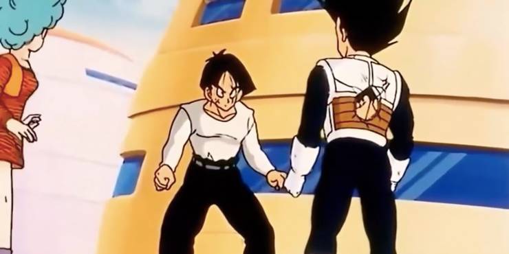 Dragon Ball 10 Worst Things About Vegeta & Bulmas Relationship Dragon Ball 10 Worst Things About Vegeta & Bulmas Relationship